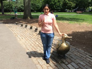 Ducklings statue